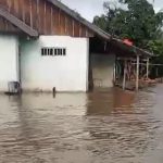 Banjir di Poso, 207 Rumah Terendam dan 800 Warga Mengalami Dampak
