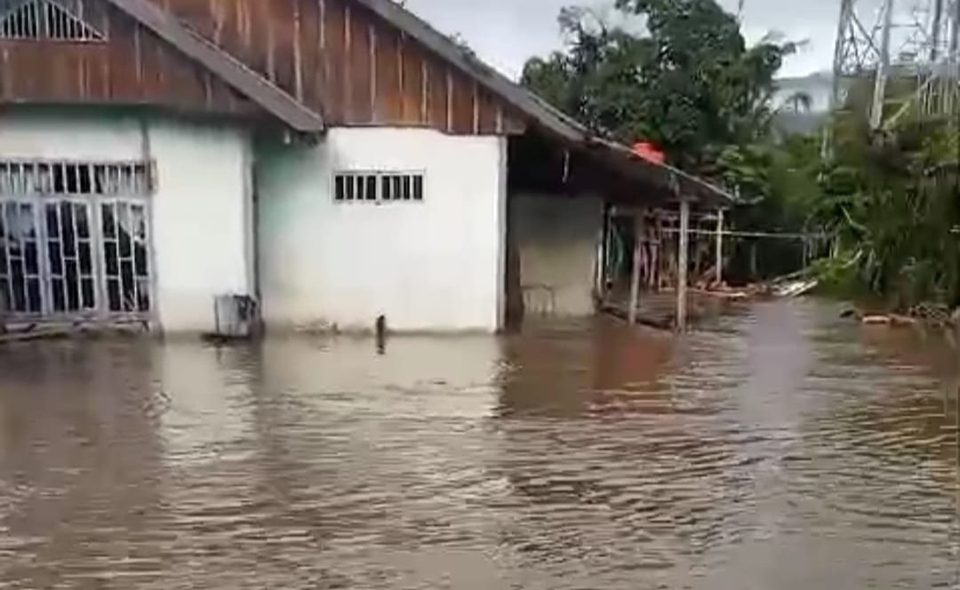 Banjir di Poso, 207 Rumah Terendam dan 800 Warga Mengalami Dampak